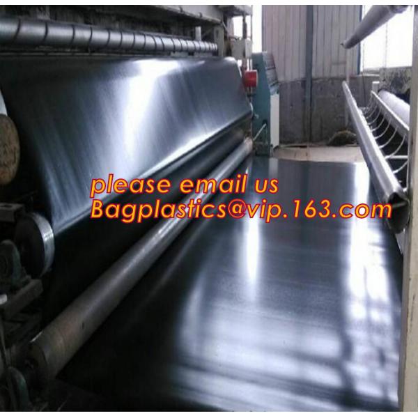 Eco-Friendly Hdpe Geomembrane Liner Geomembrane Price,Eco-Friendly Hdpe Geomembrane Liner Waterproofing Membranes BAGEAS