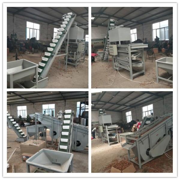 Quality walnut processing line, walnut shelling machine, walnut cracker for sale