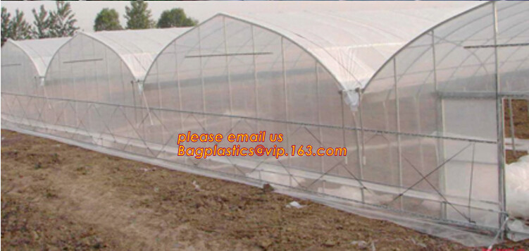 100% new HDPE insect mesh / anti bird net for apple trees,greenhouse anti insect net for plant, agriculture net Anti-ins