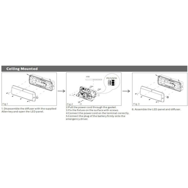 8W Bulk Head LED Porch Light with Emergency Function and Motion Sensor IP65