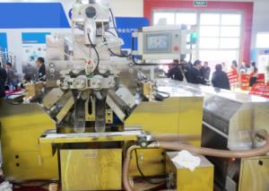 China High Advanced Fully Automatic Veggie Soft Gel Encapsulation Machine on sale
