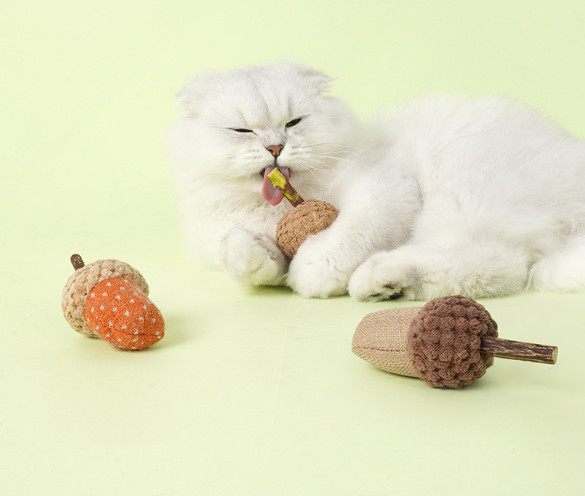 catnip chew toy