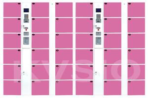 China Smart Coin Operated Parcel Delivery Lockers Unique Design Custom Logos Printing wholesale
