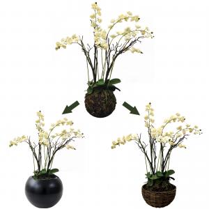 China Lifelike Green Artificial Tropical Plant For Office Table Moth Orchid wholesale