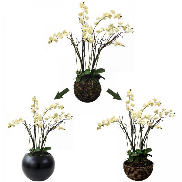 Quality Lifelike Green Artificial Tropical Plant For Office Table Moth Orchid for sale