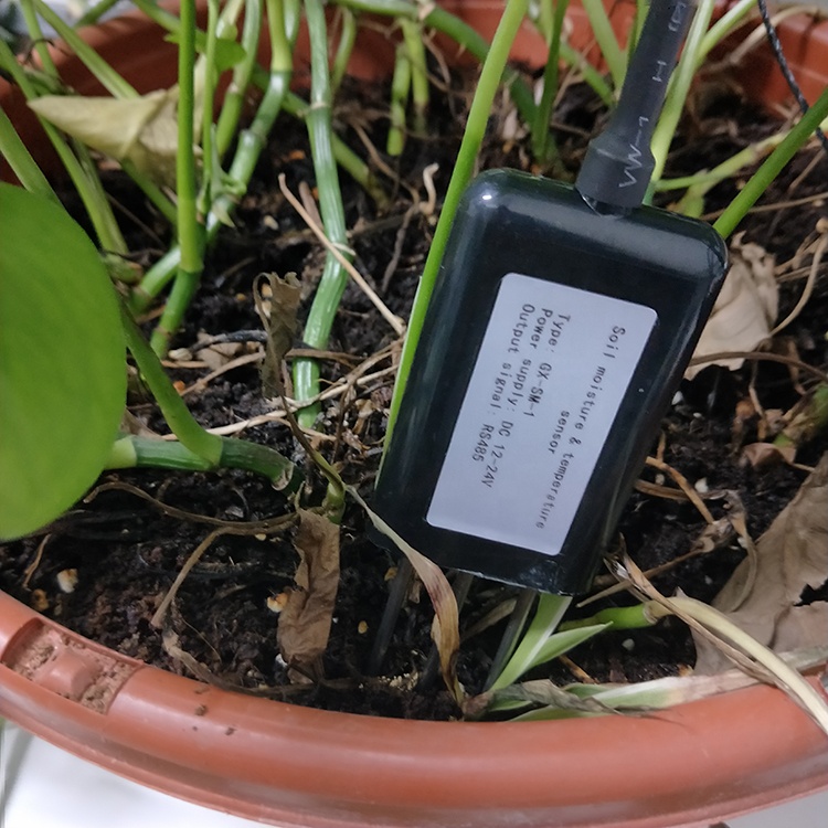 BGT 5-24V DC SDI12 Output FDR Smart Greenhouse Plant Soil Temperature Humidity Sensor