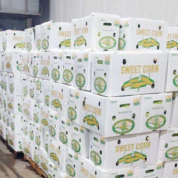 Corruone Hot Sale Customized waterproof foldable PP polypropylene sheet Material Vegetable Fruit Packaging and delivery Boxes