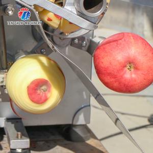 220V 35KG Recyclable Piercing Pitting Commercial Fruit Peeling Machine Apple
