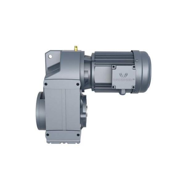 Reduction Ratio 1:75 Parallel Shaft Helical Gear Motor