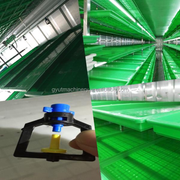 Energy Saving 650 KG Automatic Hydroponics Fodder Machine for Popular in Oman Market