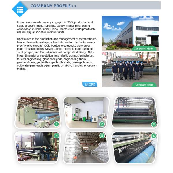 Geocells and Honeycomb HDPE Grass Grid for Paver The Perfect Park Combination