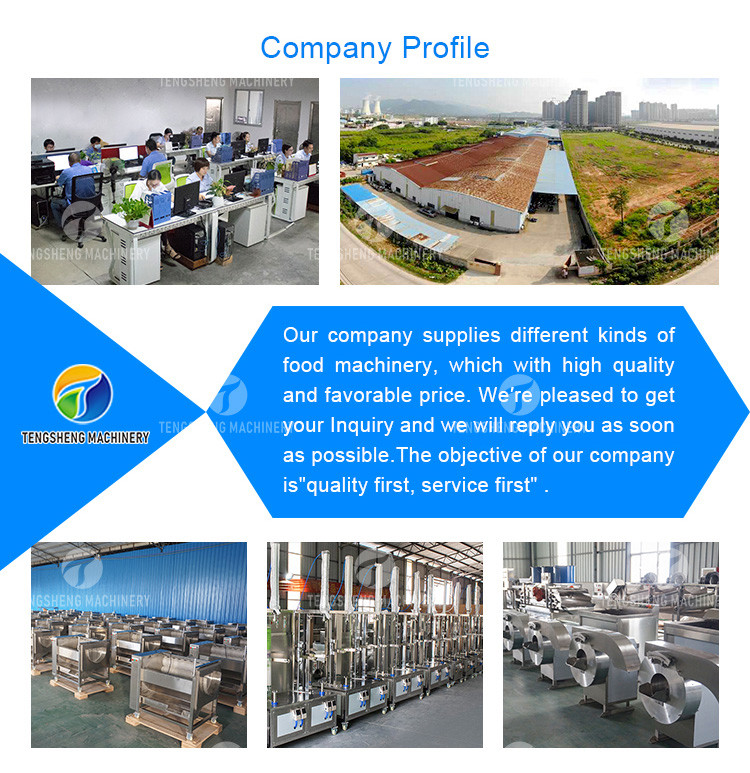 Circulating Hole Fruit Processing Line , Tengsheng Roller Conveying Vegetable Processing Line