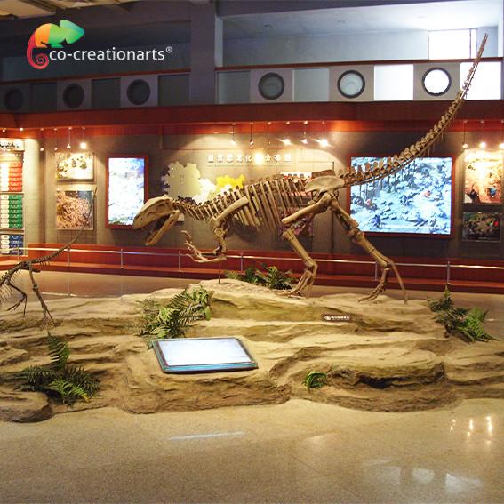 Quality Sunproof Resin Dinosaur Skeleton Gasosaurus Skull for sale