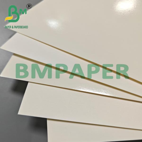 315grams Biodegradable PET Kraft Paper Food Container For Lunch Dinner 315grams Biodegradable PET Kraft Paper Food Container For Lunch Dinner