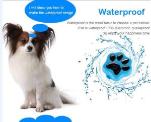 Worlds smallest pet tracker smart gps cat tracker reachfar rf-v30