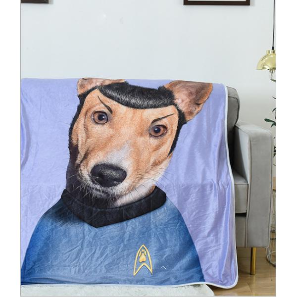 Double Layer Thick Flannel Blanket 150X200cm With Printing Pattern
