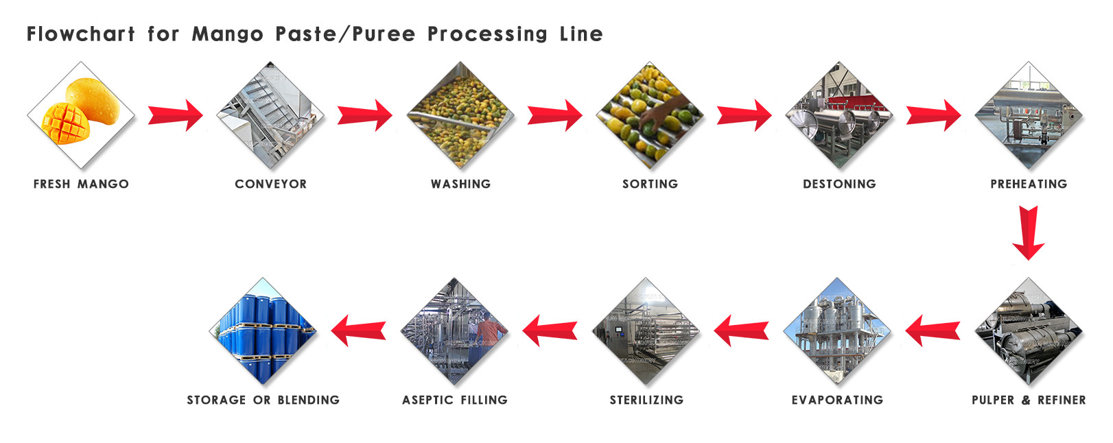 Industrial Food Grade Mango Processing Line High Efficiency SUS304 / SUS316 Material
