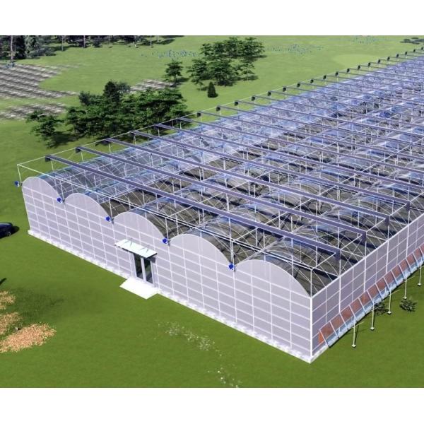 Customized Request for Venlo Multi Span Greenhouse 1 Square Meter Min.Order