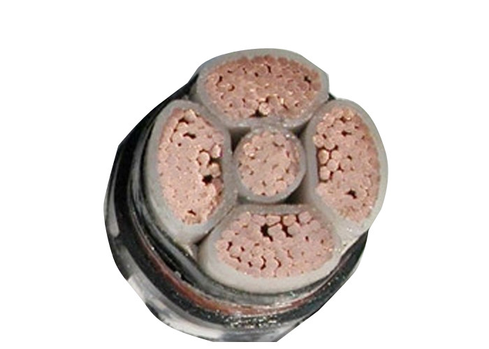 China Five-Core Low Voltage XLPE Insulated Power Cable IEC 60502-1 Standard wholesale