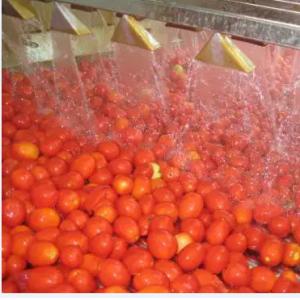 China Automatic Tomato Paste Processing Line High Speed wholesale