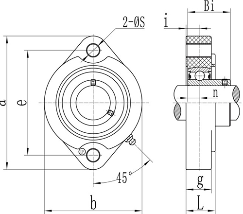 Flange Plastic Pillow Block Housings With Stainless Steel Insert Bearing 2 Bolt SSBLFPL 201