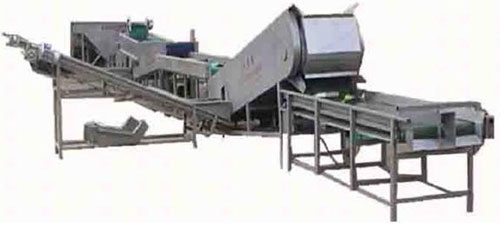Potato Cleaning & Potato Grader production line