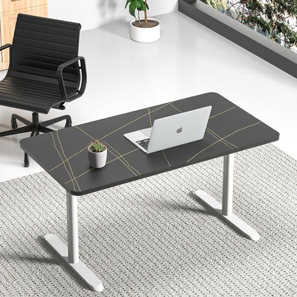 Modern Design Custom Dual Motor Standing Desk for Study SPCC Steel/Iron Frame Material