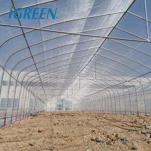 Commercial Plastic Film Greenhouse Hydroponic Hot Dipped Galvanized Steel