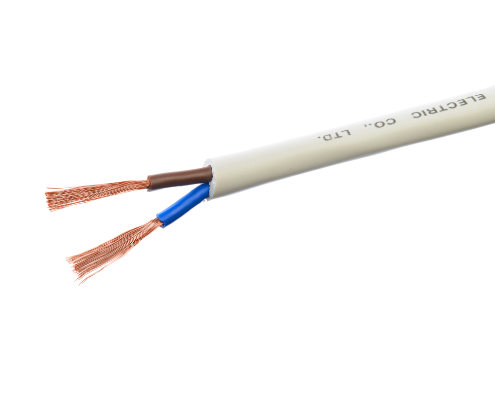 Electric Material Multicore Cable Hd3vvh2 f with 2 Cores Copper Conductor Electrical Wires 0.5mm2 0.75mm2 Sq
