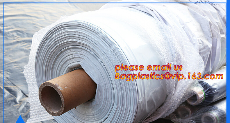 HOTICULTURAL MULCH FILM,AGRICULTURAL PE FILM,MARKET GARDENERS CLOCHE FILM,PE FILM FOR CORN,PLASTIC FILM COVER,TOMATO COV