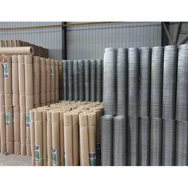 Hot Dip Galvanized Welded Wire Mesh Roll 30M for Aviaries