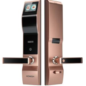 Iris Scanning Door Lock with Autofocus, Adjustable Camera Angle, and Battery Low Voltage Alarm