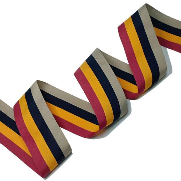 Wide Durable Polyester Woven Webbing For Bags Shoes