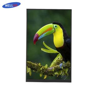 China Vibrant Visuals LCD Display Module 16.7M 10.1 TFT LCD Monitor wholesale