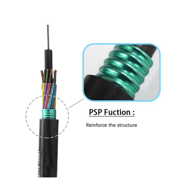 96 Core G652D Fiber Optic Cable Cord With PE Sheath Steel Wire GYTS