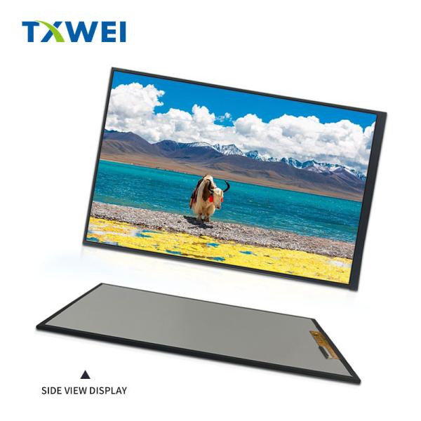 10 inch LCD screen TFT LCD module