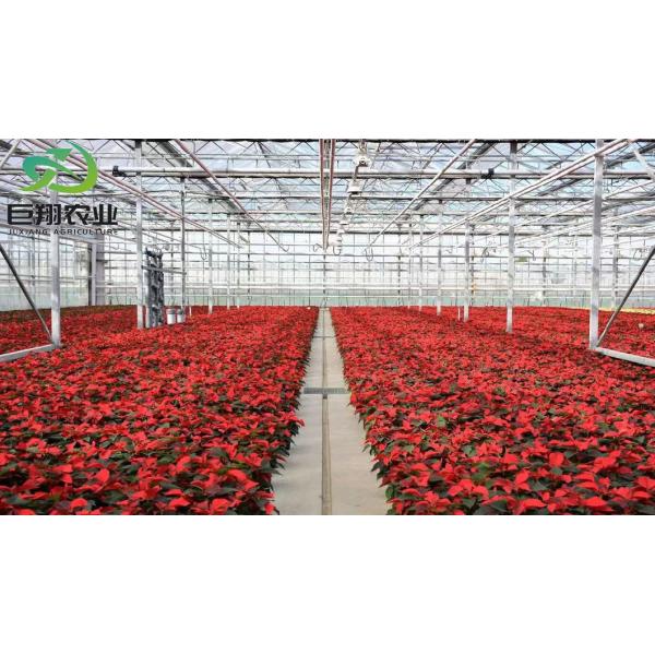 Steel-Plastic Double Layer Mushroom Greenhouse for Medical Plants and Mushroom Growth