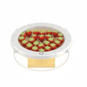 China Intelligent RGB Fruit Basket light with Bluetooth and endless dimming Function for Hotel Bars or Family use wholesale