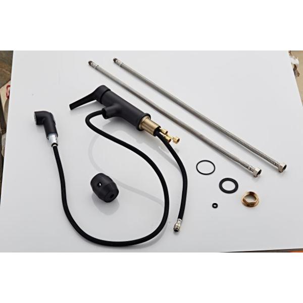 Lead Free Electroplate Sus304 Utility Sink Pull Out Faucet