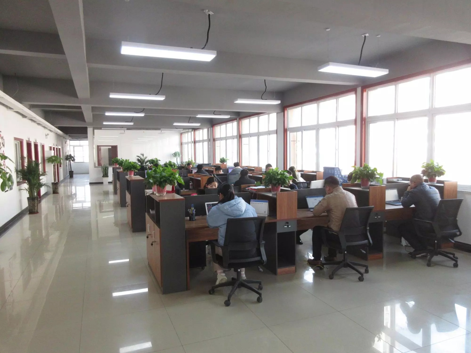 Ccd Cameras Grain Colour Sorter with High Performance LED Optical System