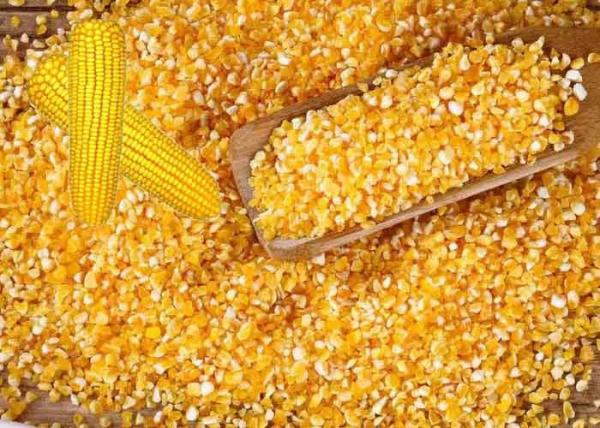 Dried Natural Agricultural Products Yellow Maize Corn Reduces Serum Cholesterol