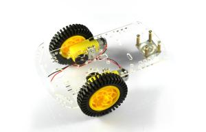 China DIY Robot Kit 2WD Smart Car Robot wholesale