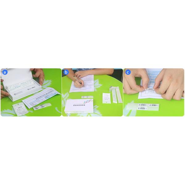 Flocked Nylon tip DNA Collection Kit Parent Child Relationship Detection Kit