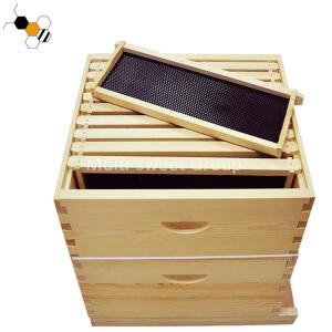 Langstroth Beehive Kit Wholesale Bee Hive Apiculture Tools