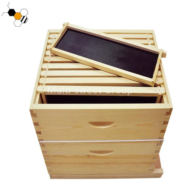 Quality Langstroth Beehive Kit Wholesale Bee Hive Apiculture Tools for sale