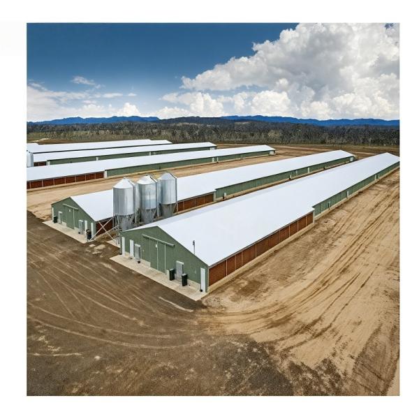 Prefab Steel Structure Construction Vegetable Workshop Steel Structure Office Villa Building
