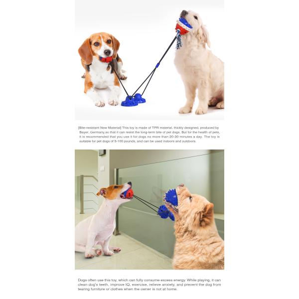 Double Suction Cup Squeaky Interactive Pet Toys Dog Teeth Cleaning Ball TPR ODM