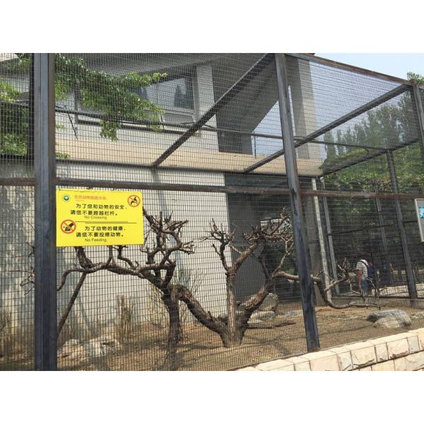 aviary mesh for Medium Pet Birds