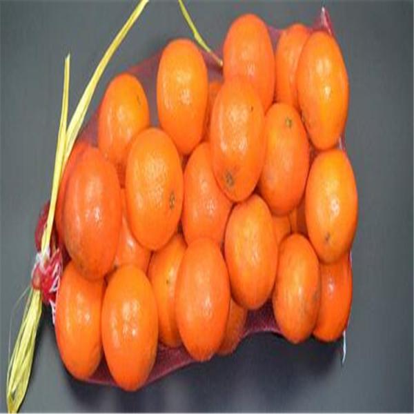 Custom Order Accepted by PE Monofilament Mesh Bag for Tubular Mono Net Bags