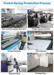 Foshan Factory Price Various Models Can Be Customised Sofa Pocket Spring Cushion